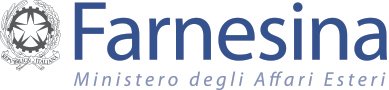 Una Social Enterprise Pubblica per migliorare la comunicazione interna ed internazionale. Progetto S.P.E.S. Il caso Ministero Affari Esteri