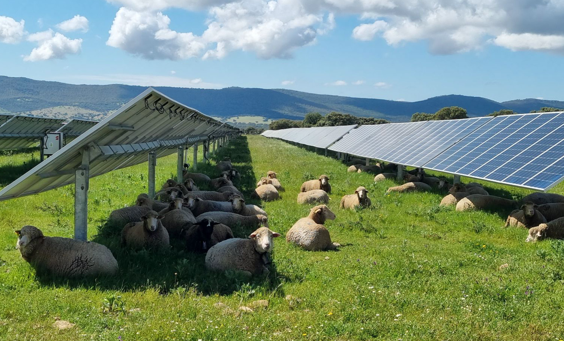 I terreni in disuso rinascono con la piattaforma Cererly di Urban Farmer