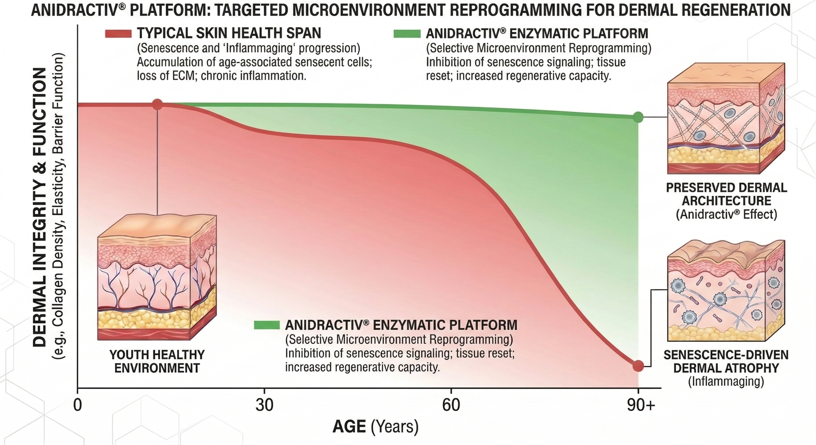 PIEMMEGGI a SMAU 2026: Carbossiterapia Enzimatica e Diagnostica AI per la Skin Longevity