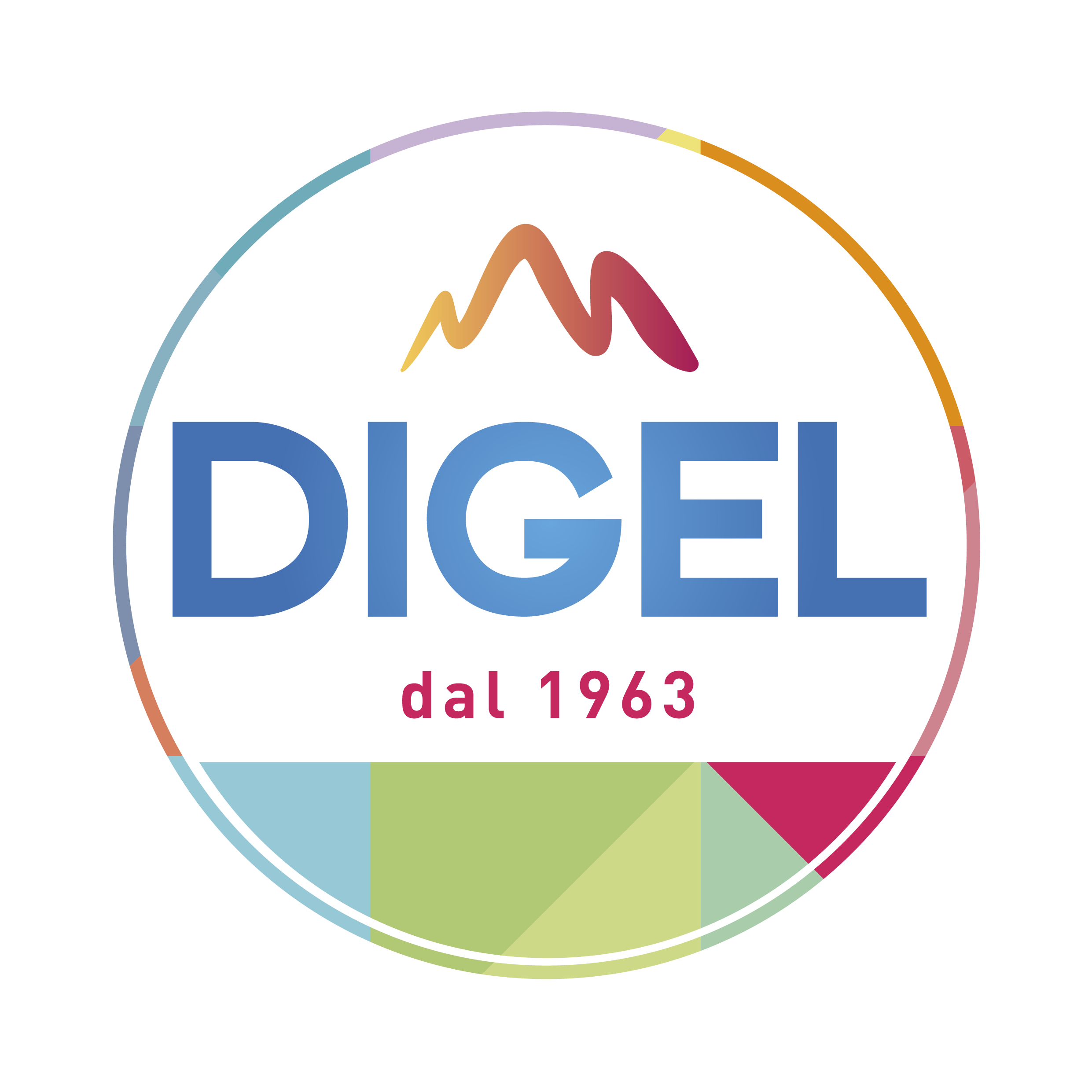 Digel punta sulla gestione intelligente della logistica e delle consegne