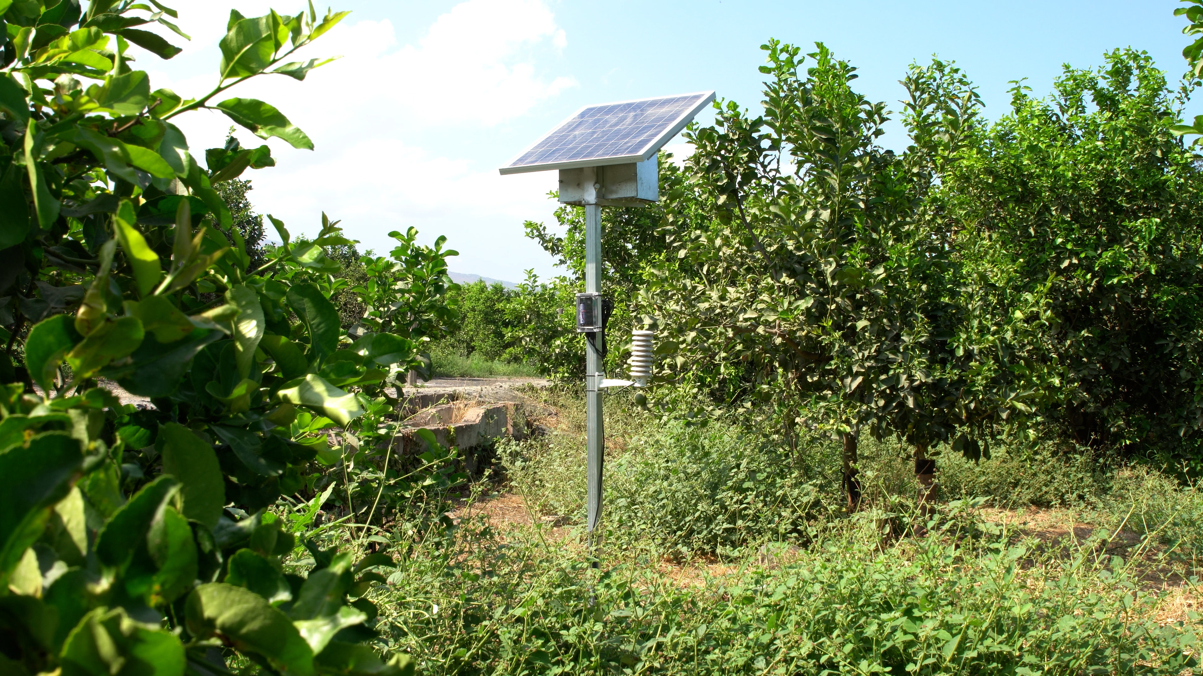 Daiki Modular Platform