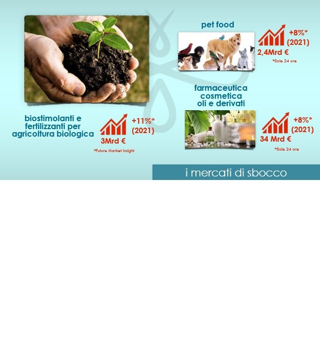 Ecoflytech Srl - Smau