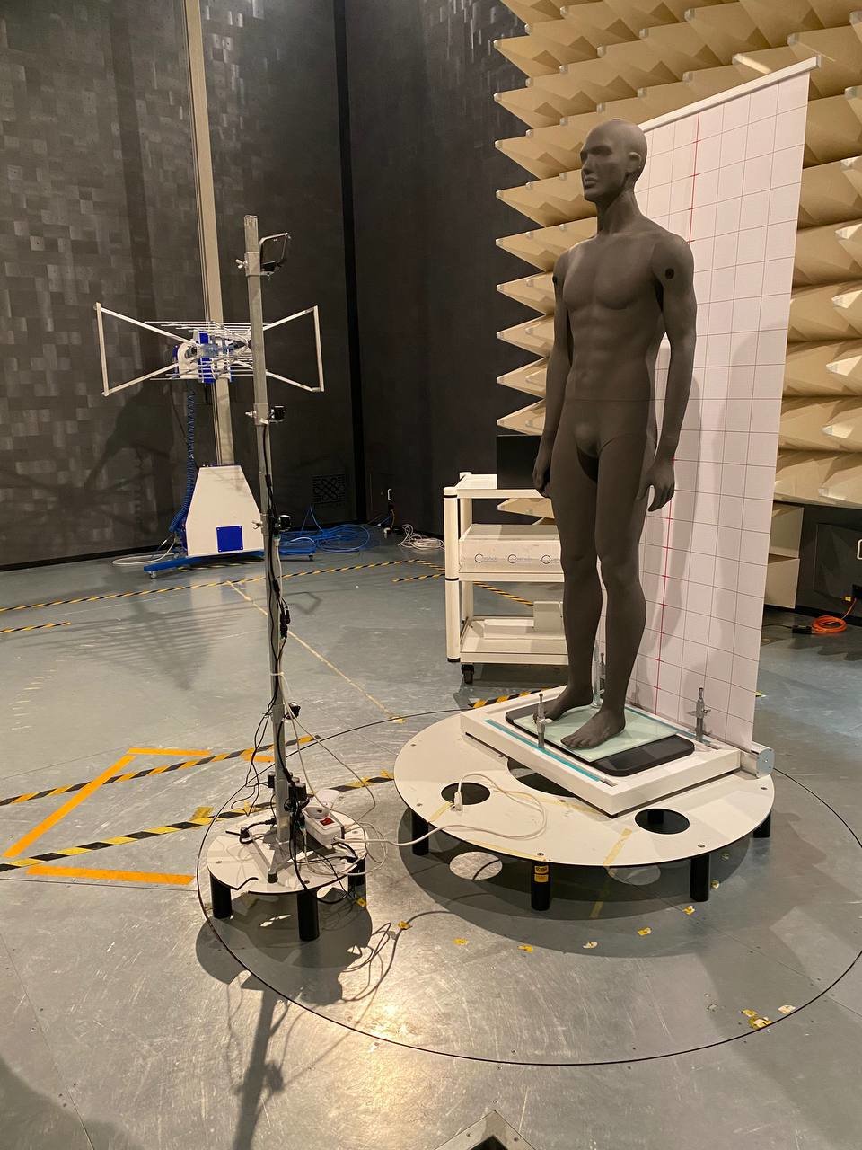 PoScreen Postural Body Data Screening