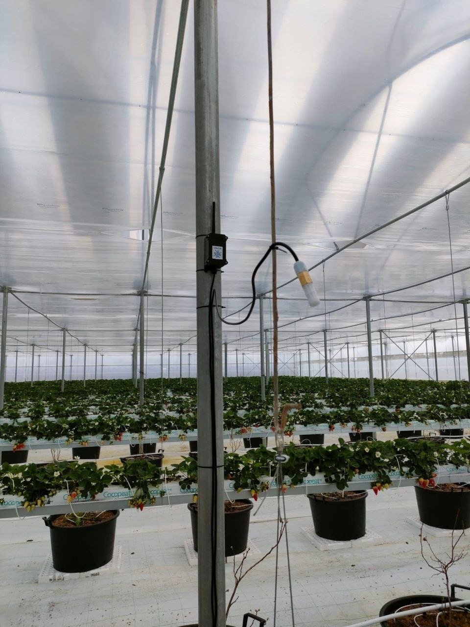 Industry 4.0 for agriculture, for everyone