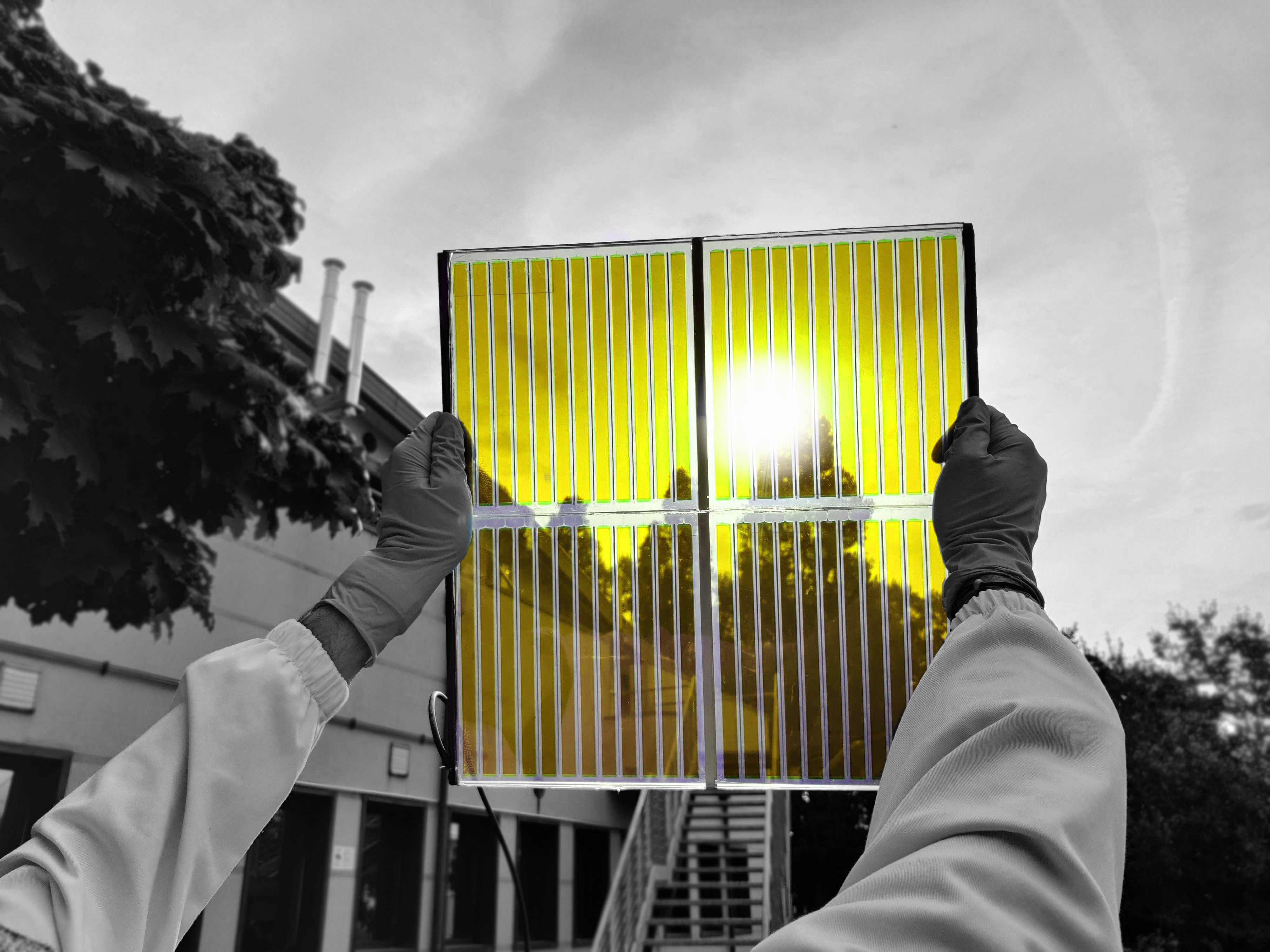 Photovoltaic cell from winemaking wastes for the production of sustainable electrical energy