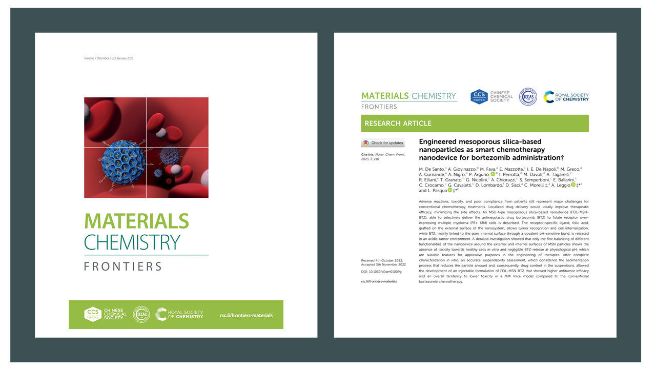 FOL-MSN-BTZ a nanosystem capable of delivering bortezomib only to tumor tissues