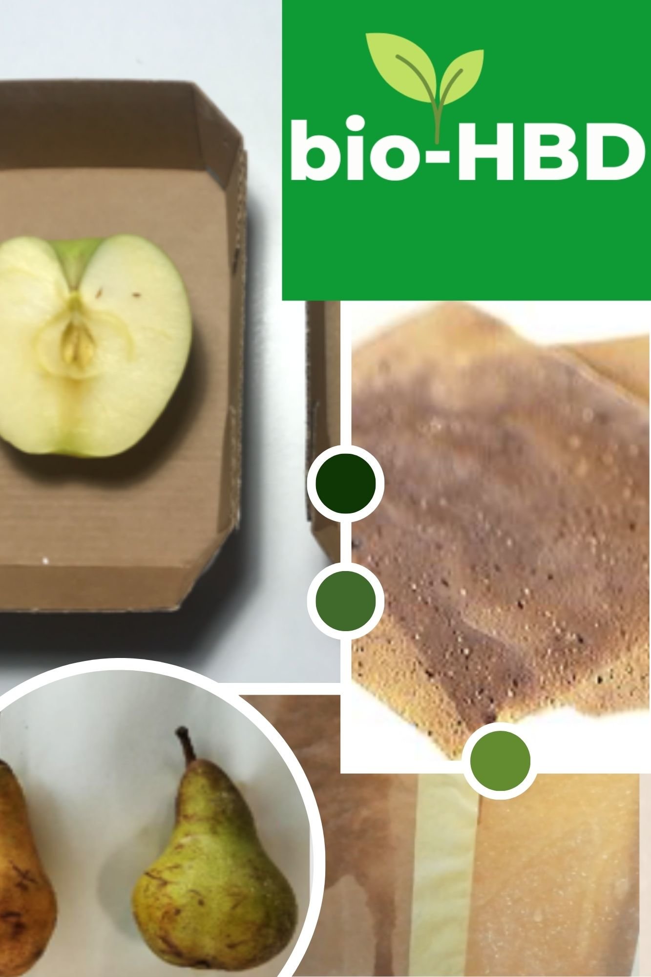 Sustainable and Smart Bio-based packaging solutions