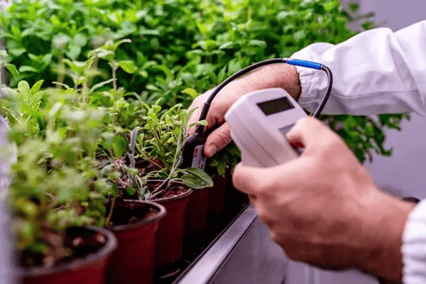 Contract Research and development services for Vertical Farming sector