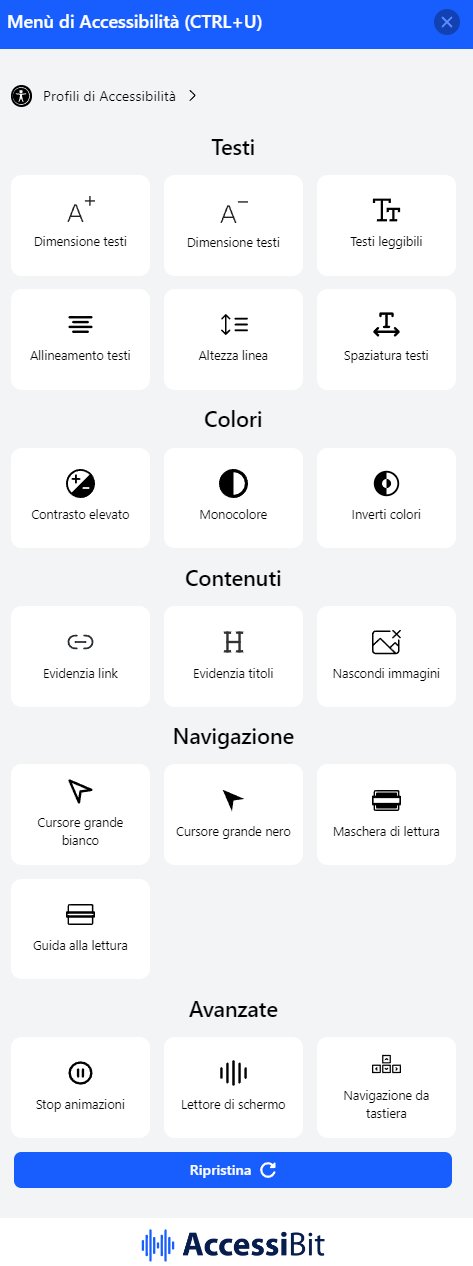 Accessibility Widget: tailor-made accessibility for the user