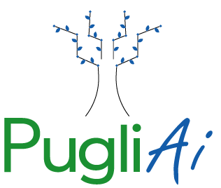 PugliAI: Potenzia la tua azienda con soluzioni AI su misura