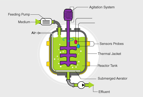 Bioremediation Columns with DEHA Enzymes