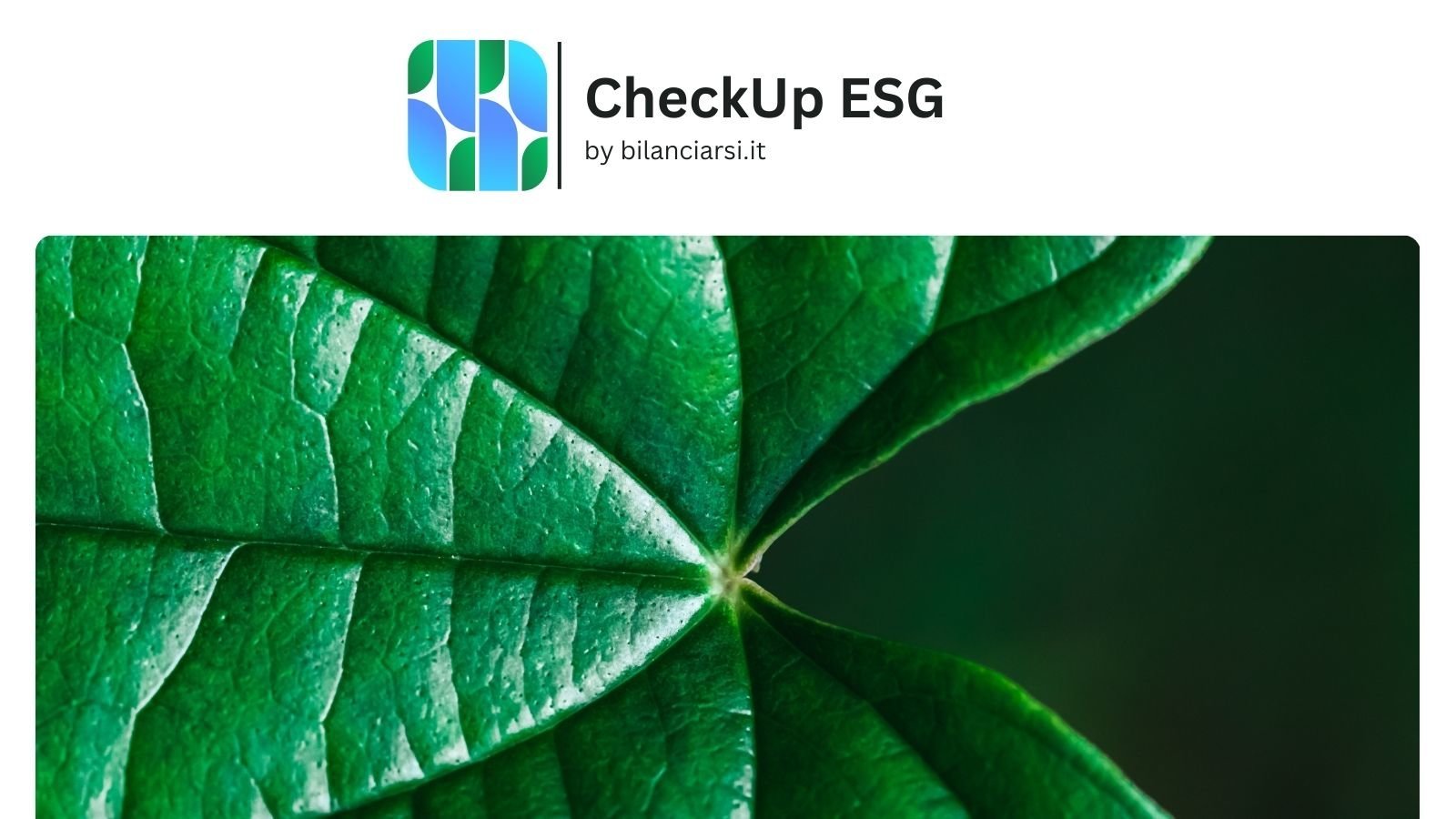 Check Up ESG by Bilanciarsi