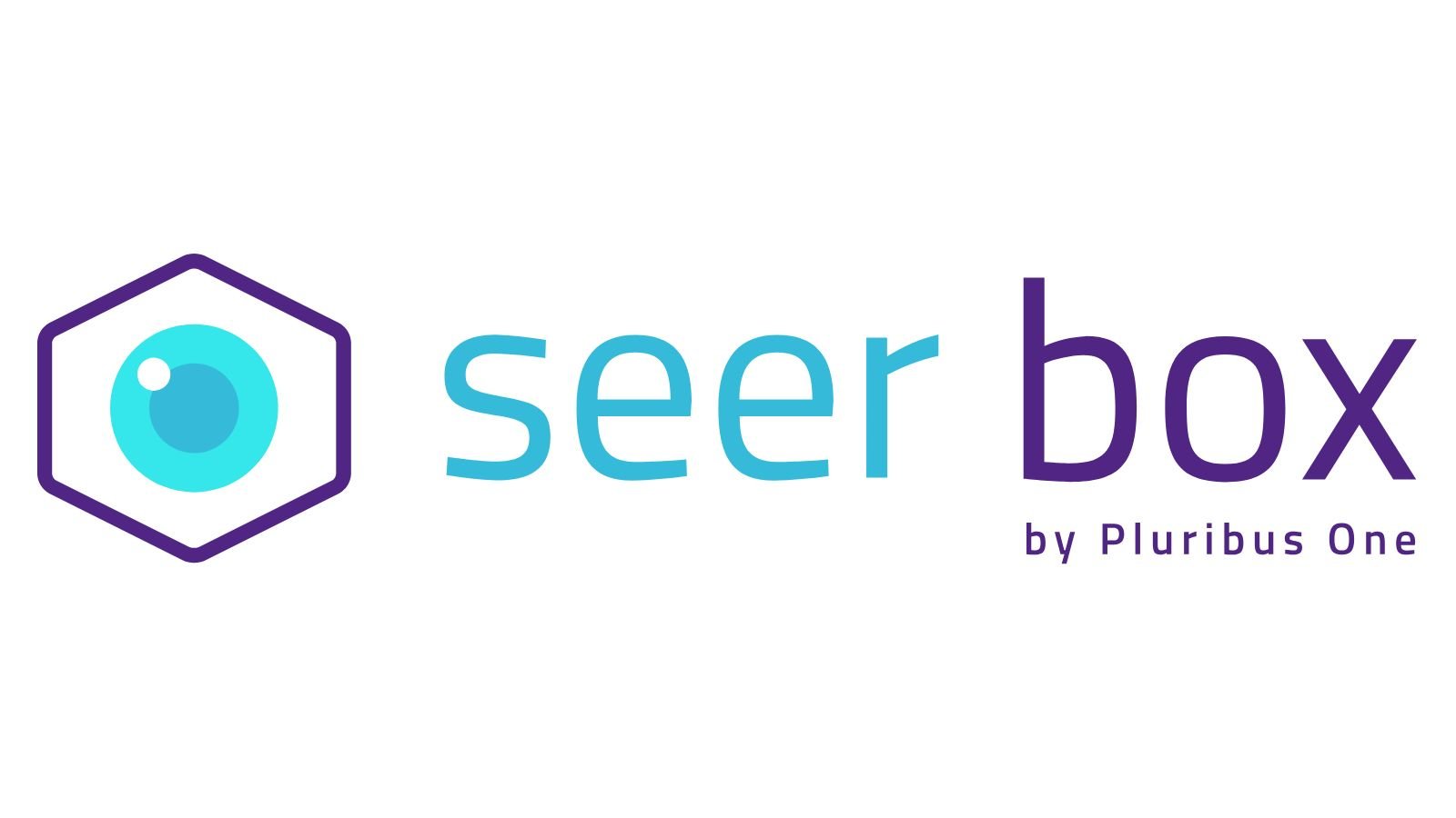 Seer Box® – Application Detection & Response