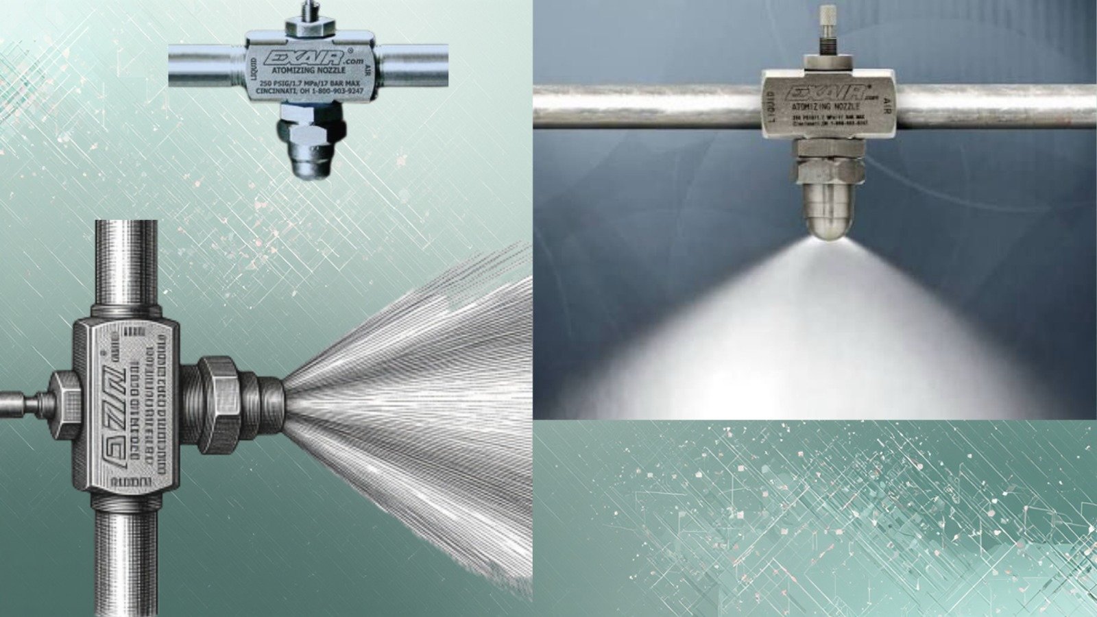 Active Molecular Phytotherapy