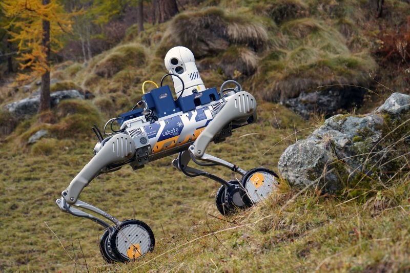 Ispezione remota e intelligenza termica