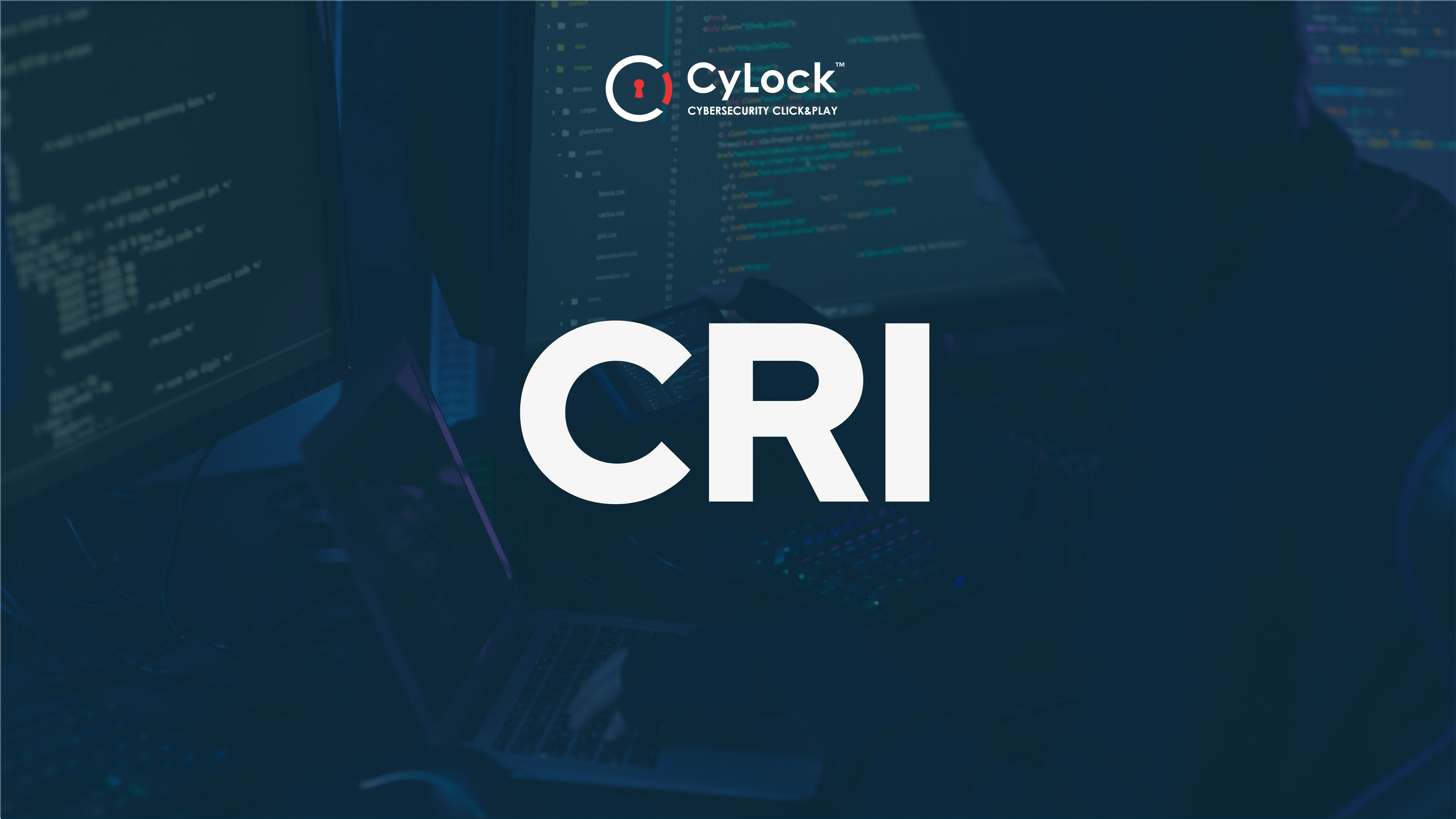 CYBER RISK INVESTIGATION (CRI)