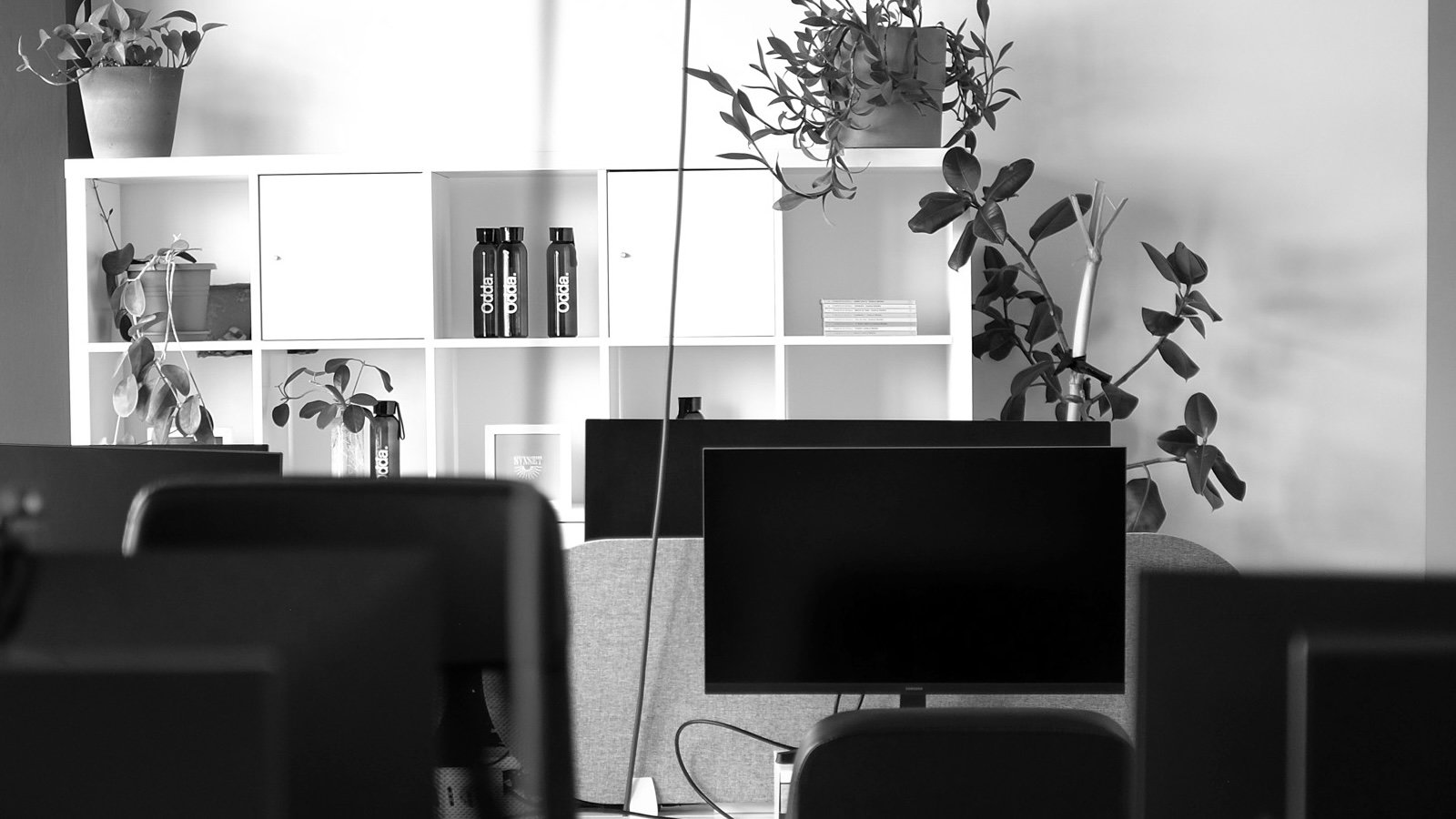 Talent Hub