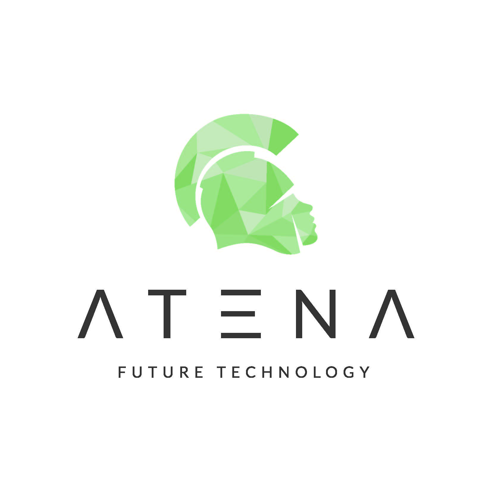 Atena Scarl