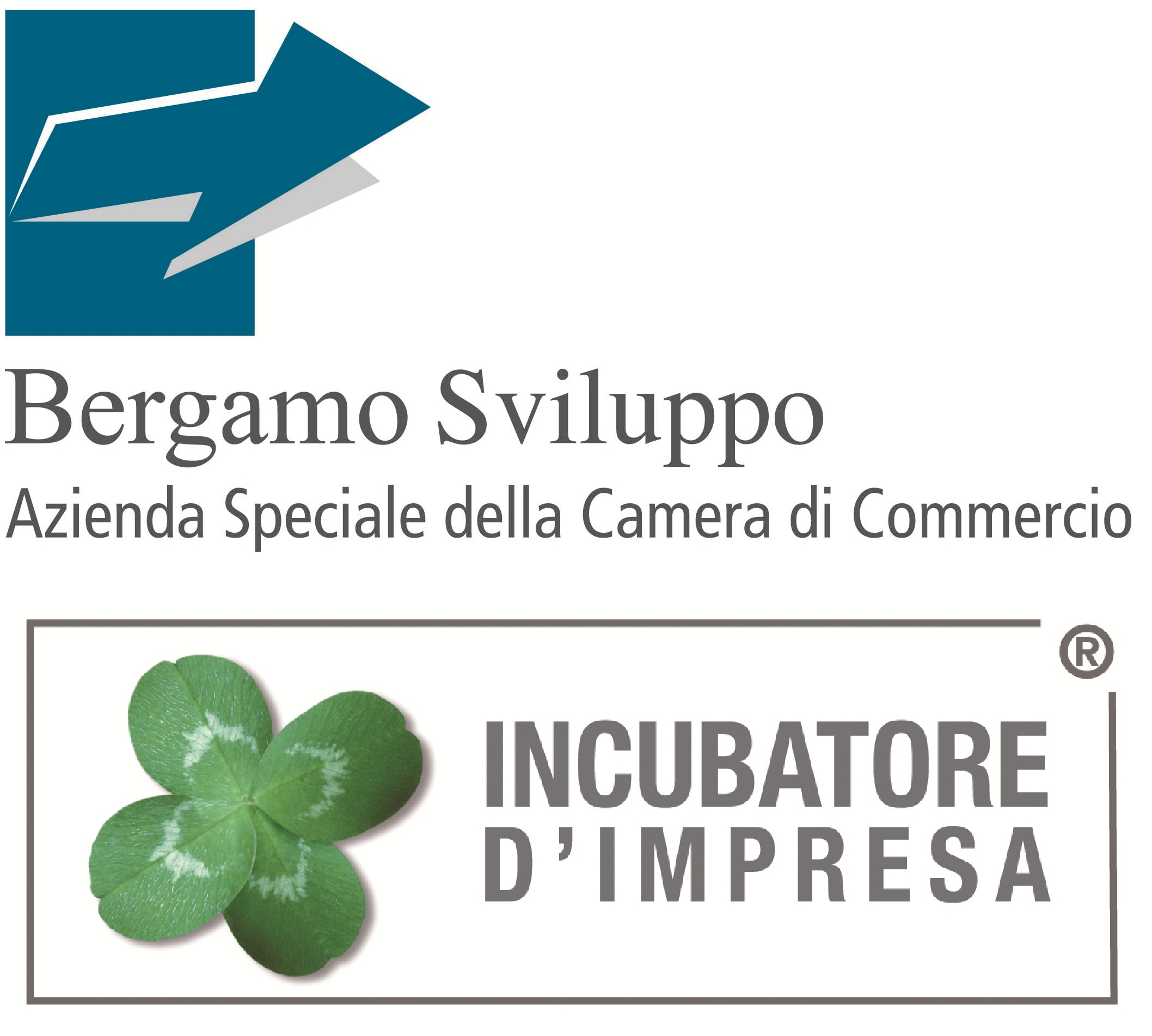Bergamo Sviluppo