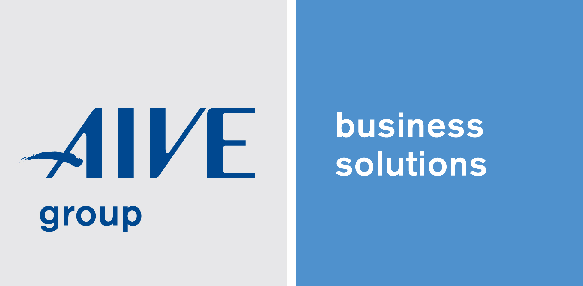 Aivebs Spa Business Partner IBM