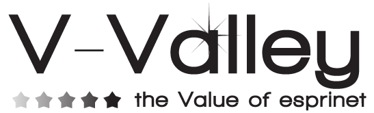 V-VALLEY