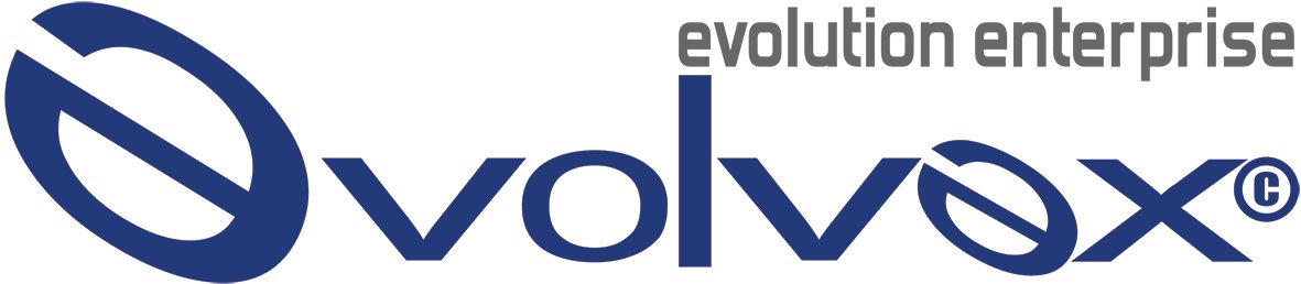 Evolvex S.r.l.