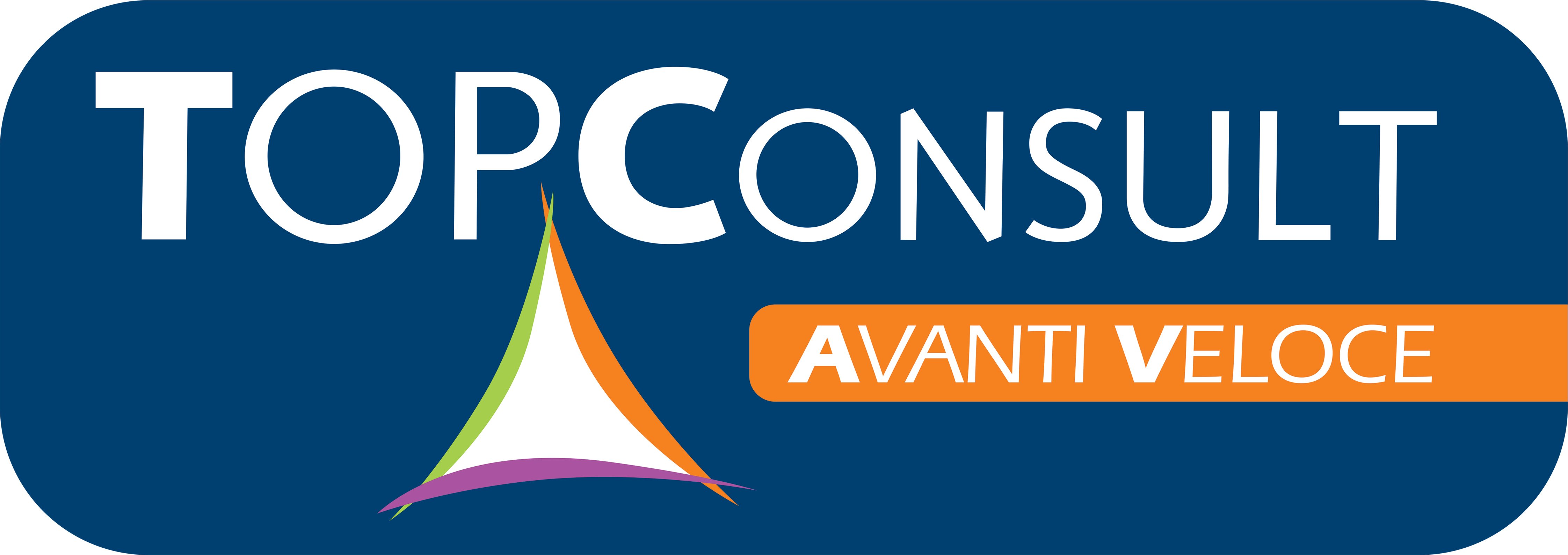 Top Consult Srl