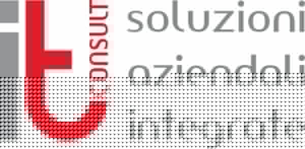 IT-Consult