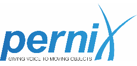 Pernix Srl