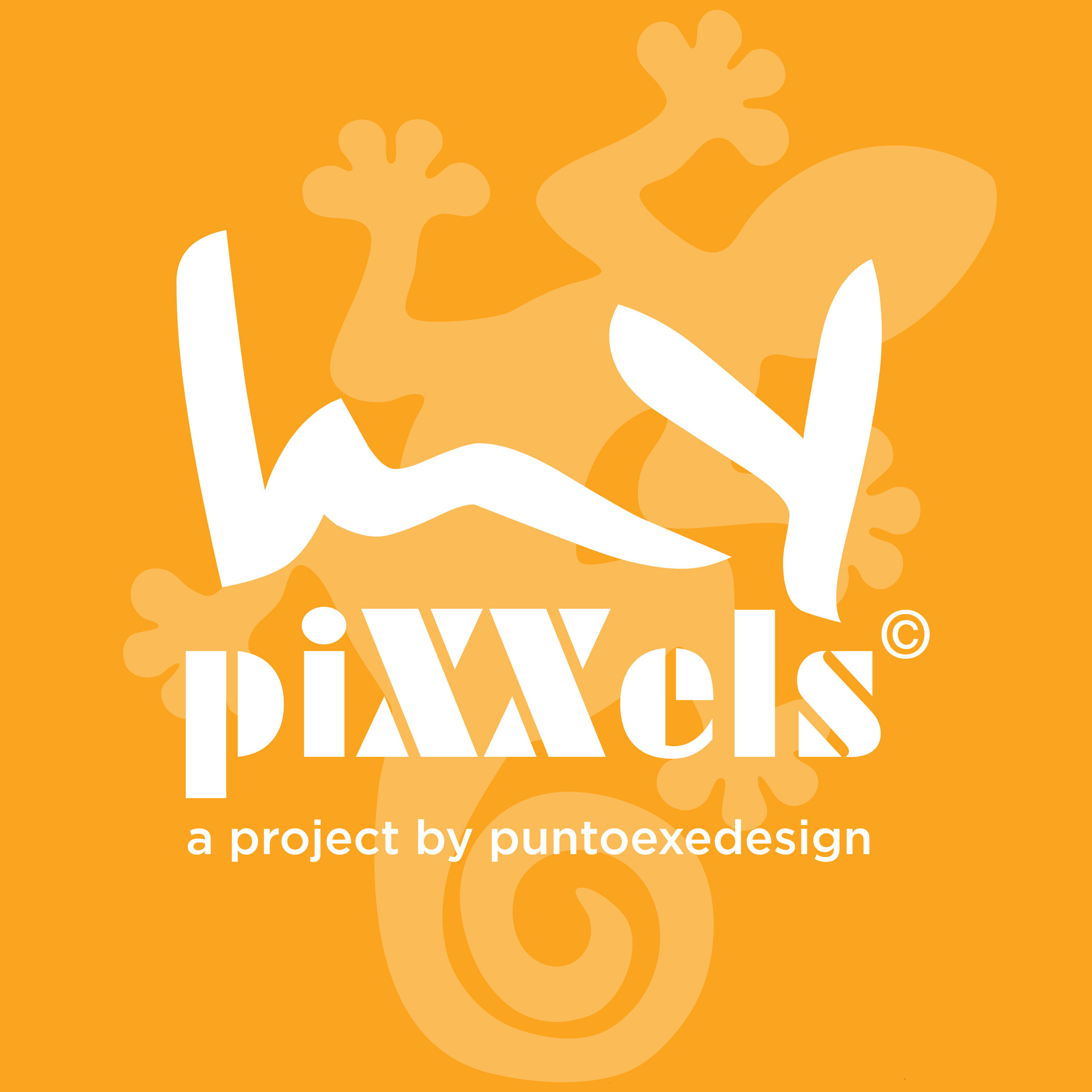 mypixxels