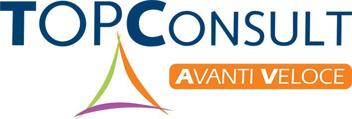 Top Consult Srl