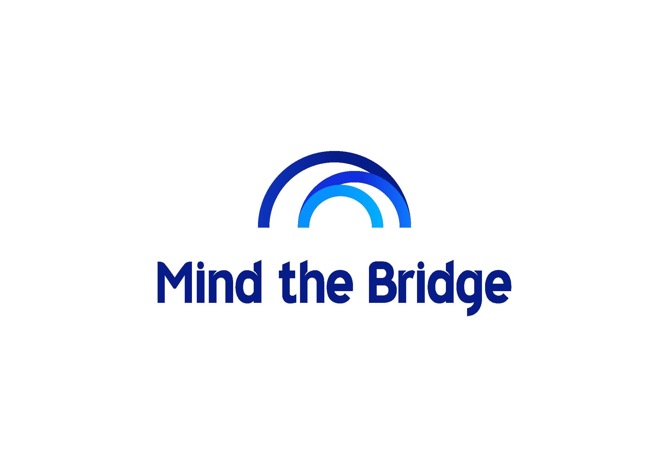 Mind The Bridge