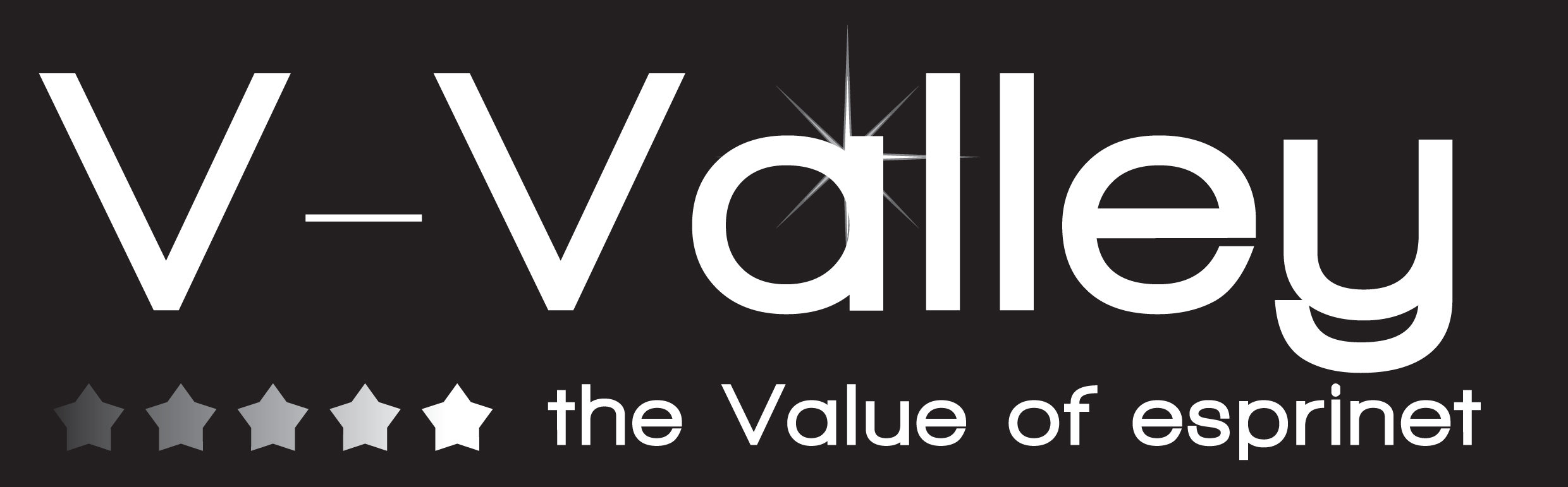 V-Valley -Business Partner Cisco
