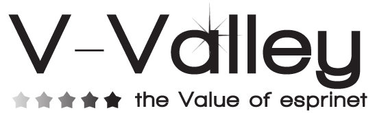V-VALLEY