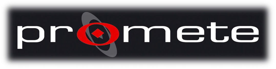 Promete Srl