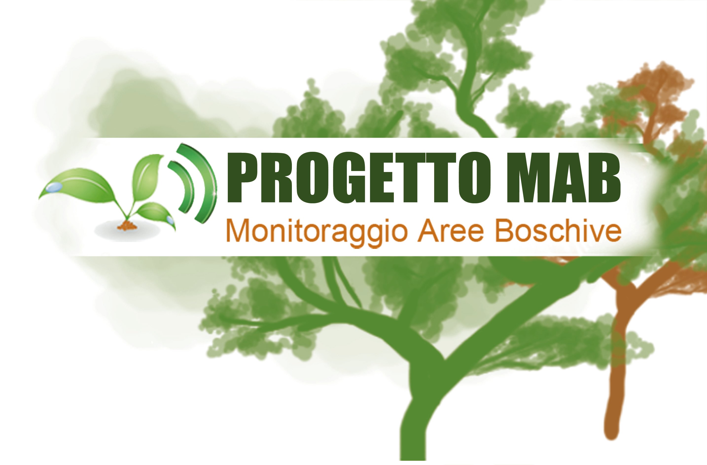 PROGETTO DI MONITORAGGIO DELLE AREE BOSCHIVE