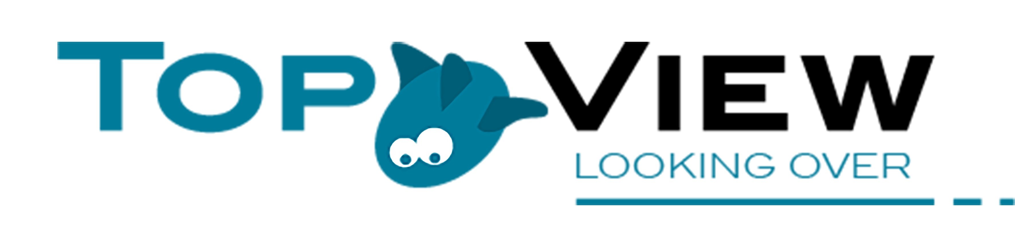 TopView srl