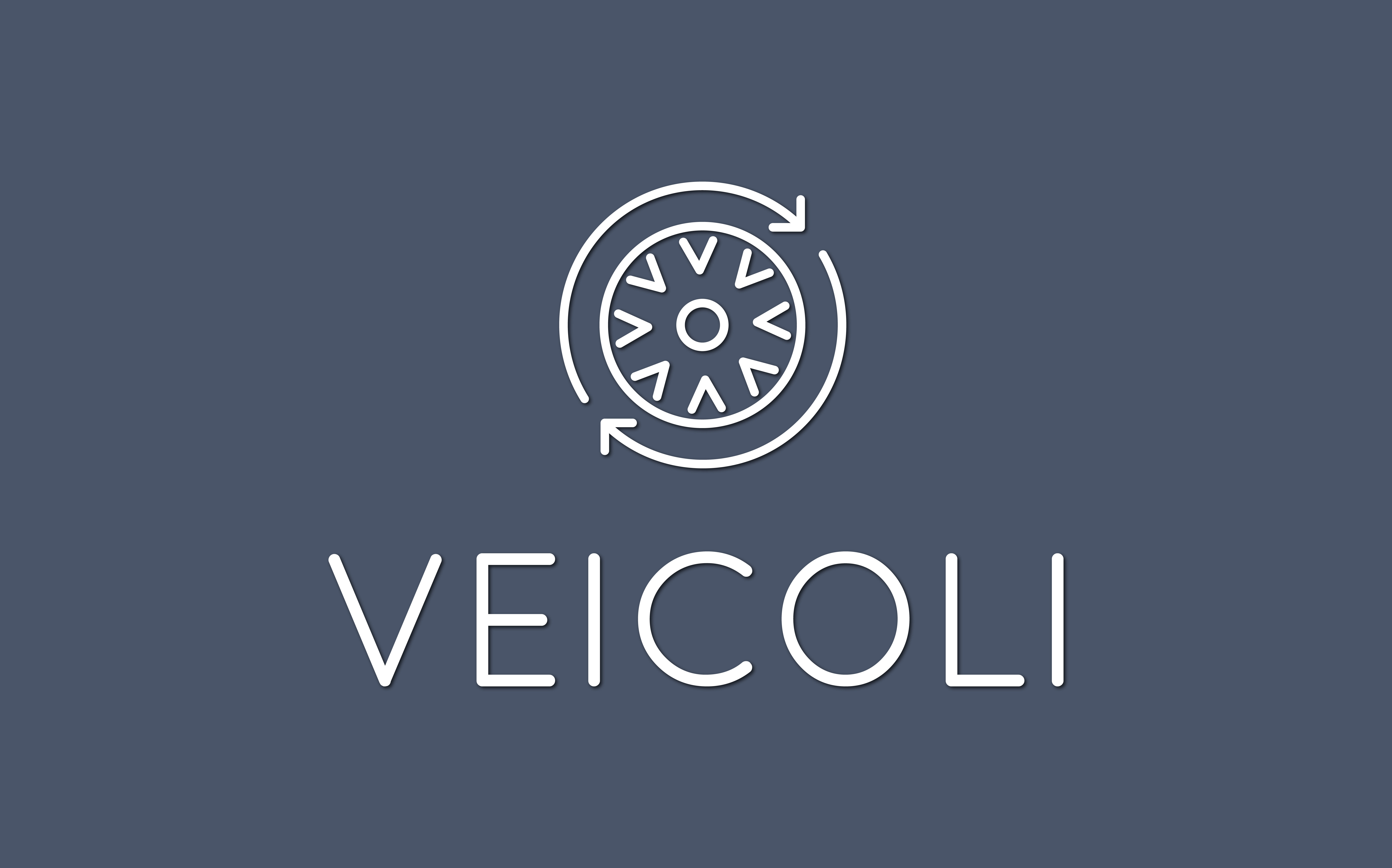 Veicoli