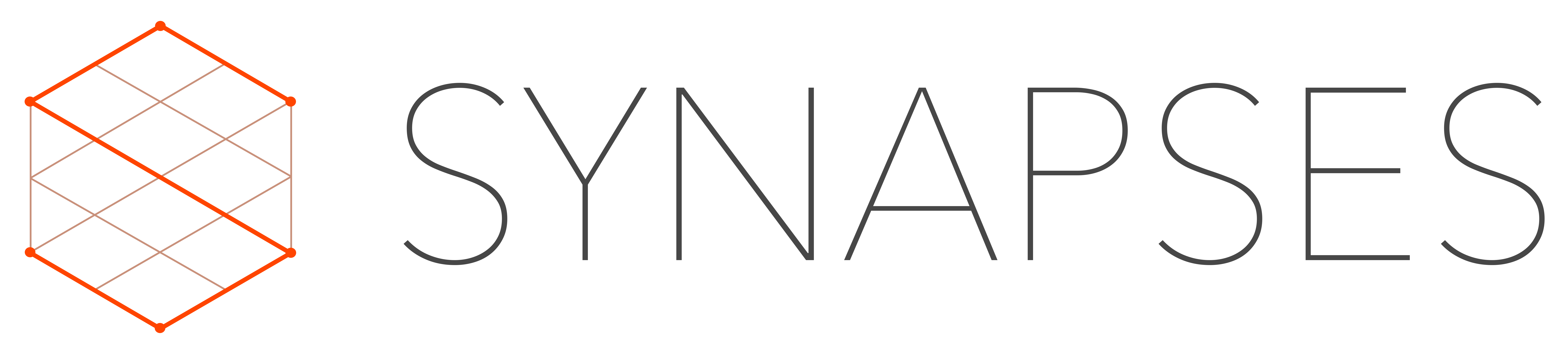 Synapses