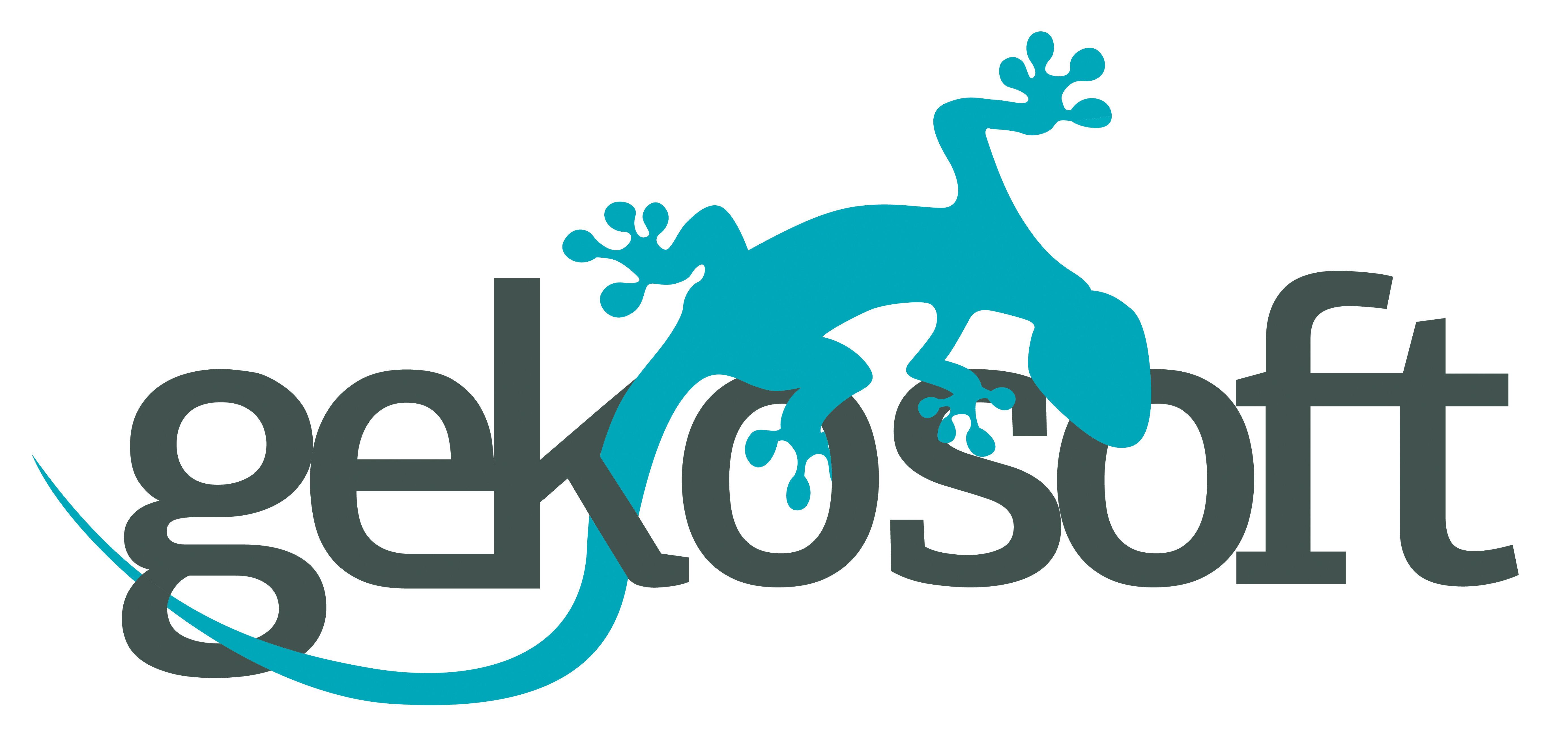 GEKOSOFT SRL