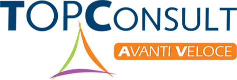 Top Consult Srl