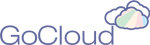 GoCloud-Business Partner Google