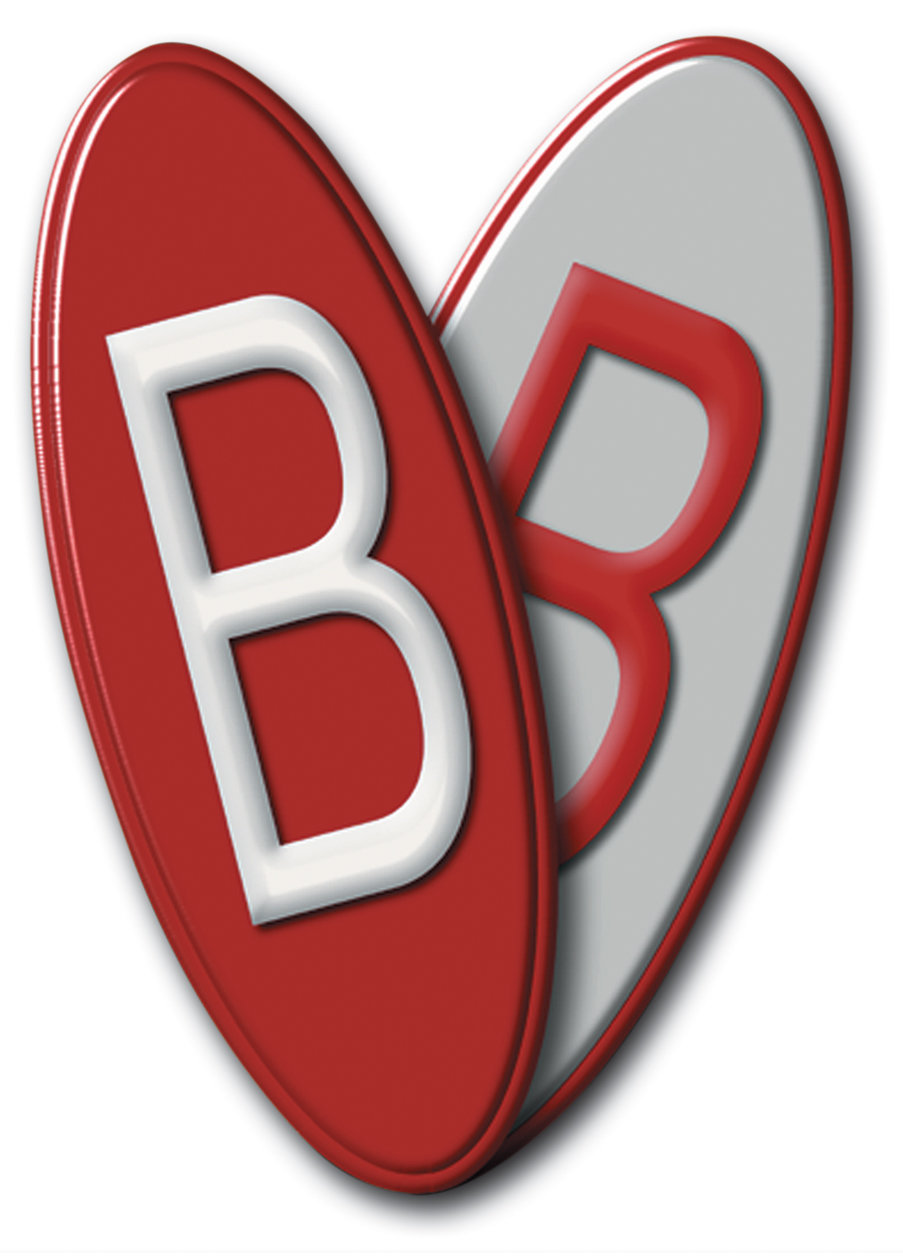 B+B Informatica srl