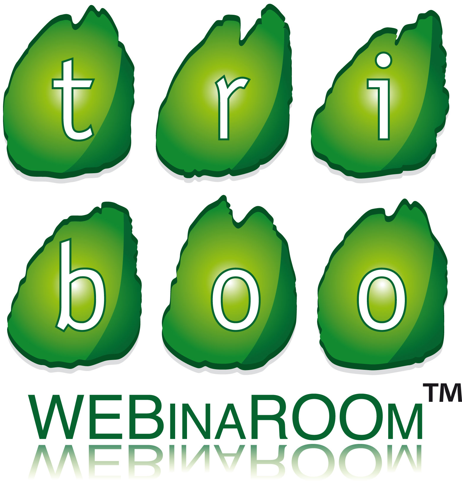 Triboo Management