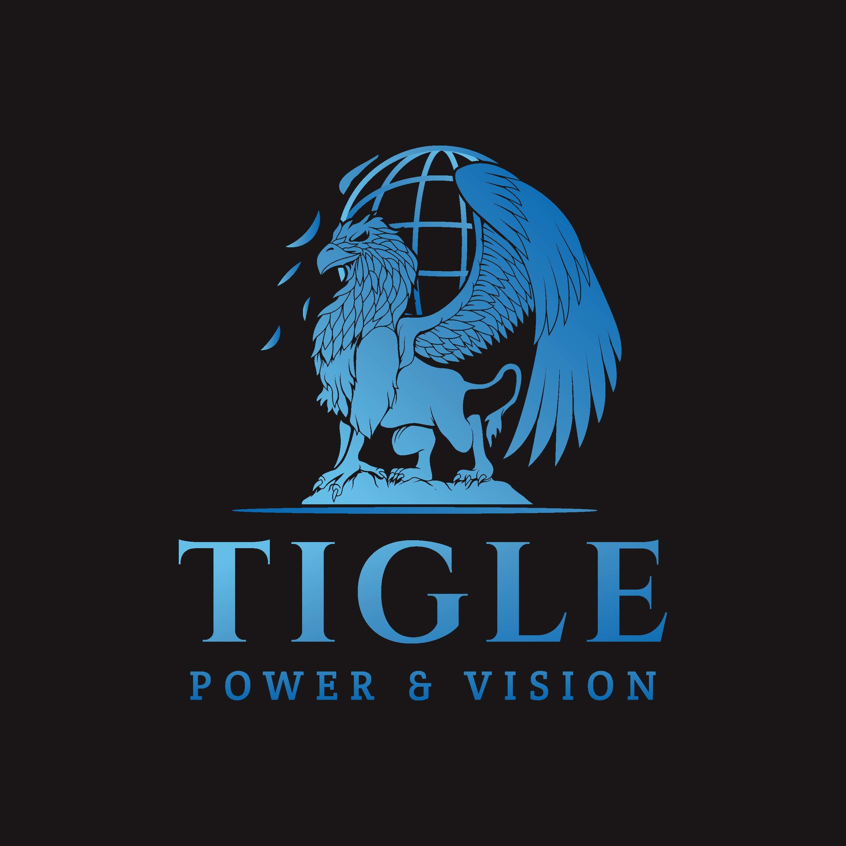 Wade World Network porta sul mercato TIGLE, la piattaforma per la consulenza e il matching tra produttori italiani e importatori stranieri