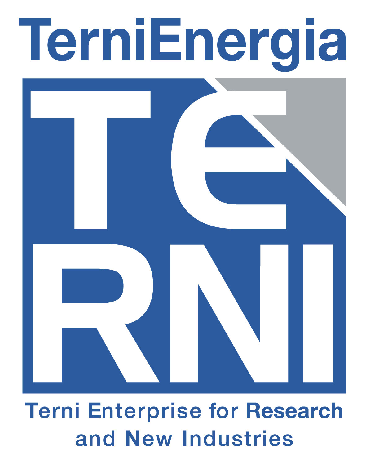 Supportare la crescita aziendale grazie alla flessibilità di un’architettura IT virtuale: il caso TerniEnergia