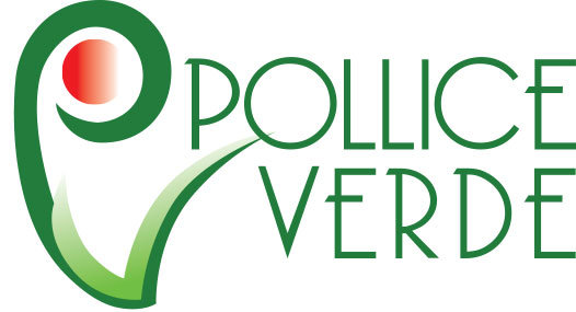 Un sito di eCommerce per raggiungere visibilità nazionale e far crescere il fatturato: il caso Polliceverdestore.com