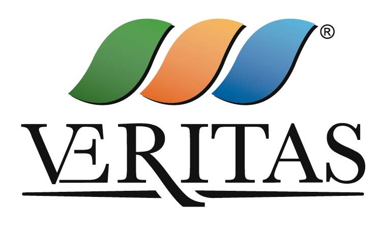 Un sistema di monitoraggio dei cassonetti e dei mezzi di raccolta per una ottimizzazione del recupero dei rifiuti e del servizio al cittadino: il caso V.E.R.I.T.A.S Spa