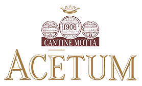 Acetum: comunicare velocemente con la video-conferenza