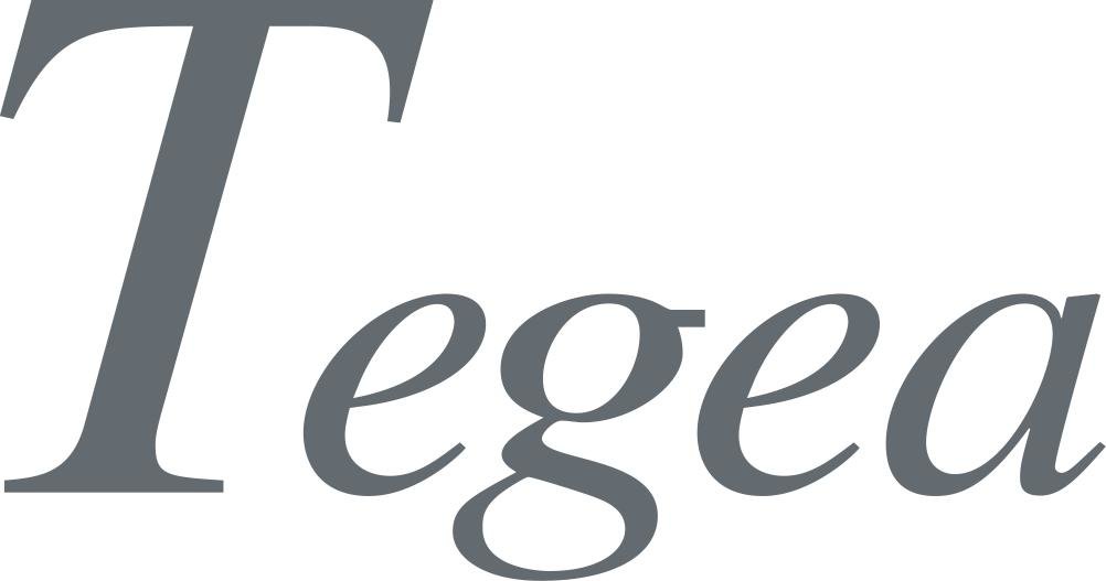 Tegea, dalla fatturazione tradizionale a quella elettronica